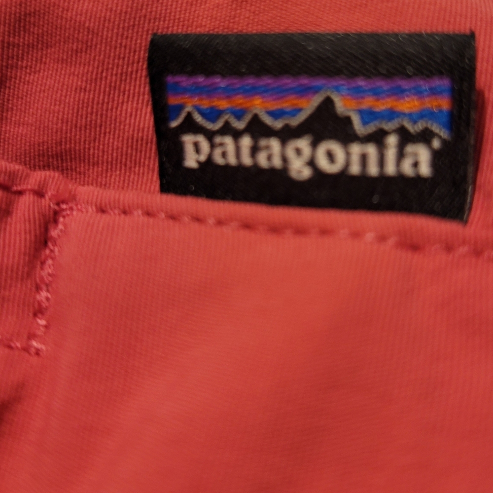 Patagonia women's Small pink shorts with pockets!